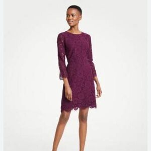 NWT Ann Taylor Lace Fluted Sleeve Dress Petite Size 0P